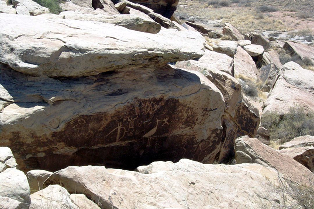 Petroglyphs, Petrified Forest