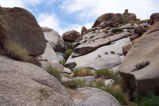 Arizona Desert