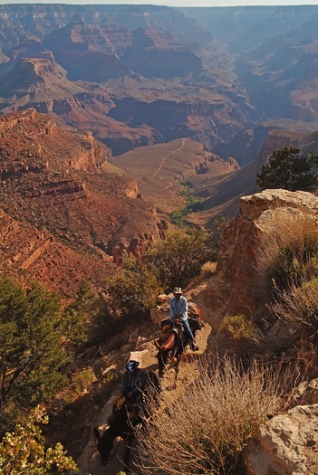 Grand Canyon Horseback Riding