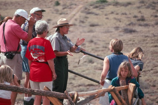 Petrified Forest National Park Tour