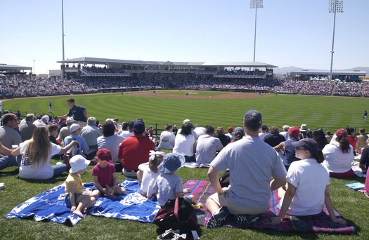 Surprise Baseball Game