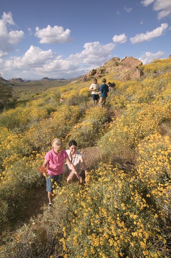 Superstition Mountains