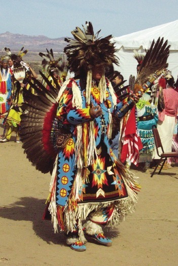 Pow Wow Dancer