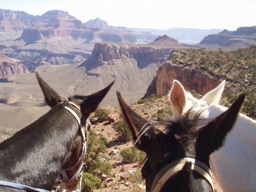 Bright Angel Trail