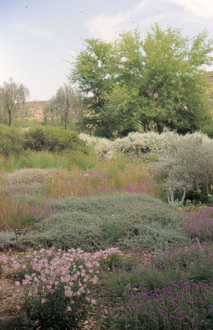 Boyce Thompson Arboretum, Superior_credit Arizona State Parks and Trails