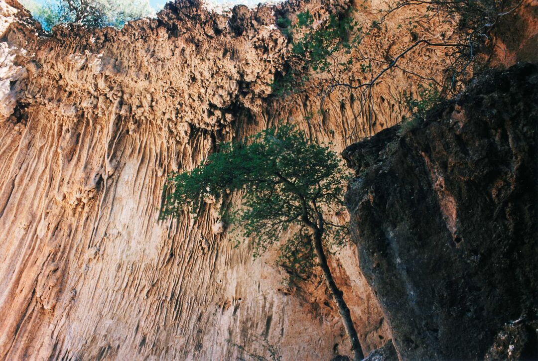 Tonto Natural Bridge State Park, Pine_credit Larry D. Fellows