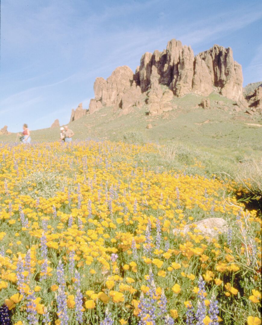 Picacho Peak State Park