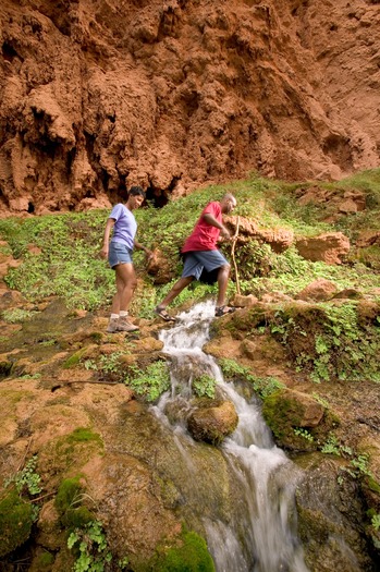 Havasu Falls