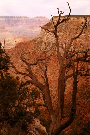 Grand Canyon Trail Overlook