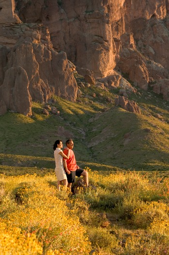 Superstition Mountains