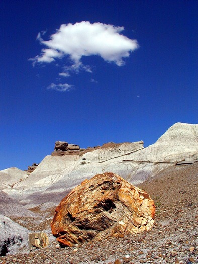 Blue Mesa Trail