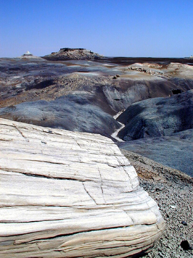 Petrified Forest National Park, Holbrook_credit National Park Service