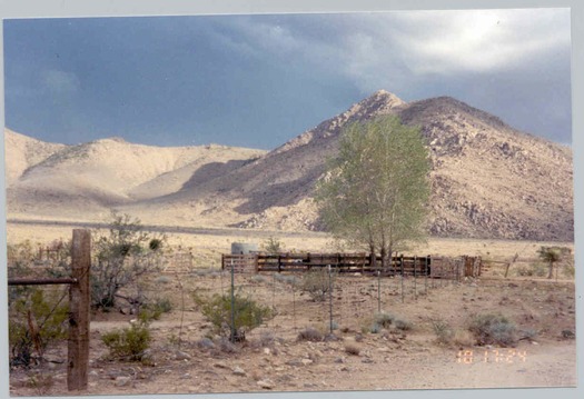 Dolan Springs