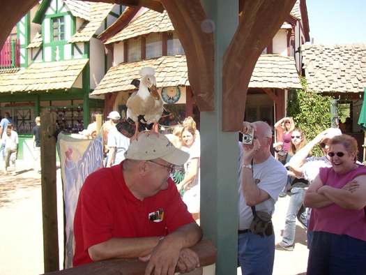 Arizona Renaissance Festival