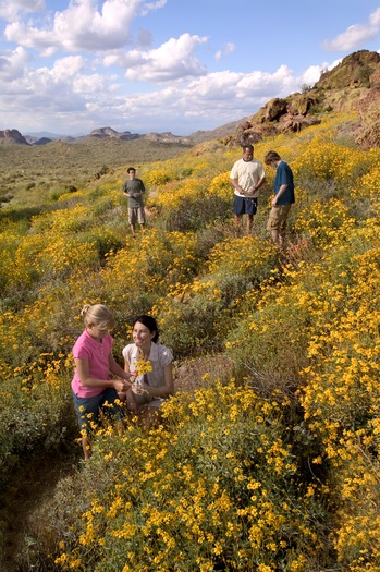 Superstition Mountains