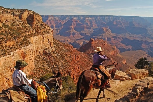 Grand Canyon Horseback Riding