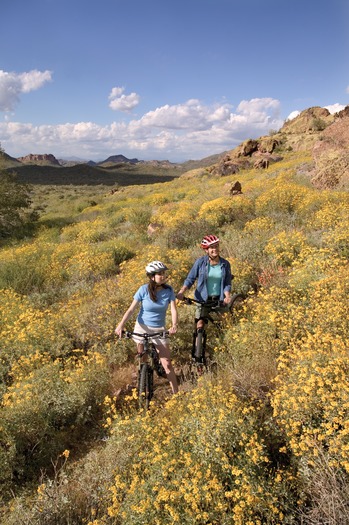 Superstition Mountains