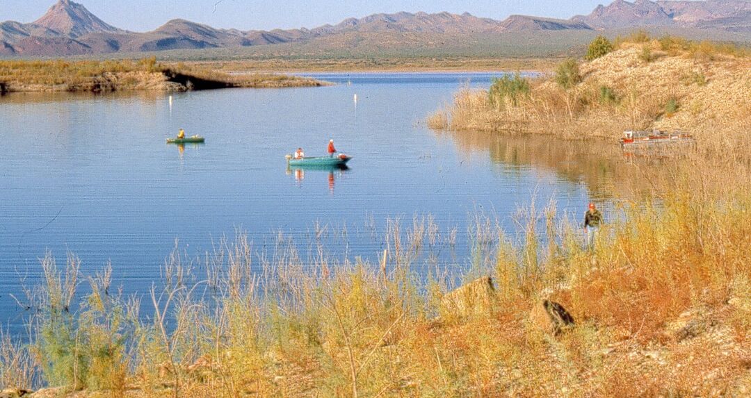 Alamo Lake State Park, Wenden_credit Arizona State Parks and Trails