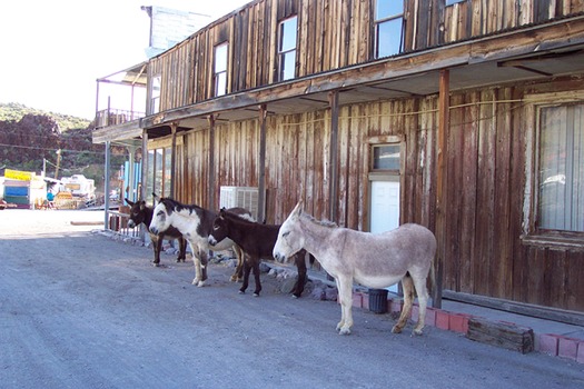 Oatman Mining Town