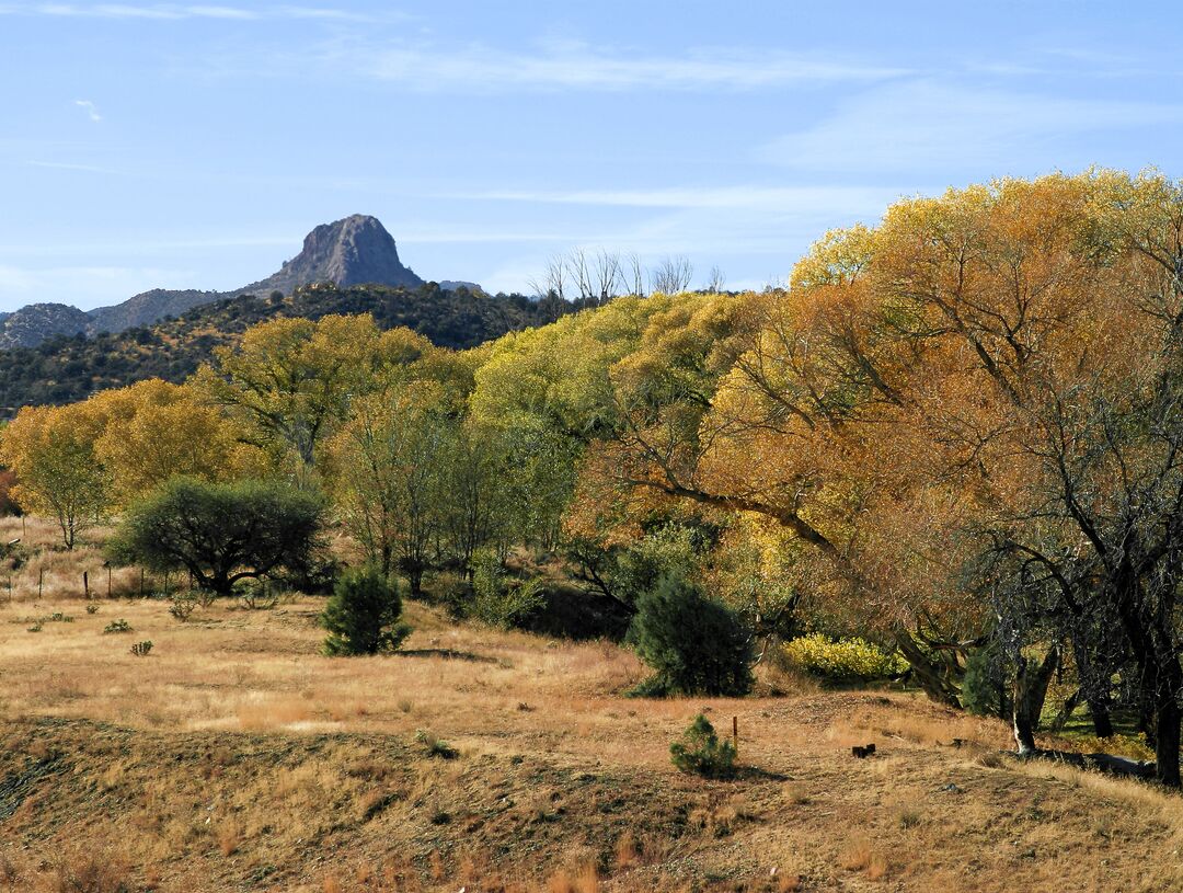 Thumb Butte Trail, Prescott_credit Franz Rosenberger 2004