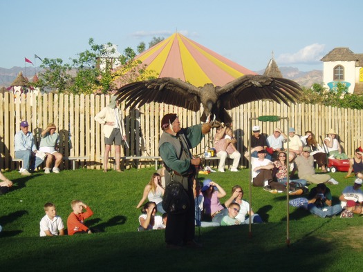 Arizona Renaissance Festival