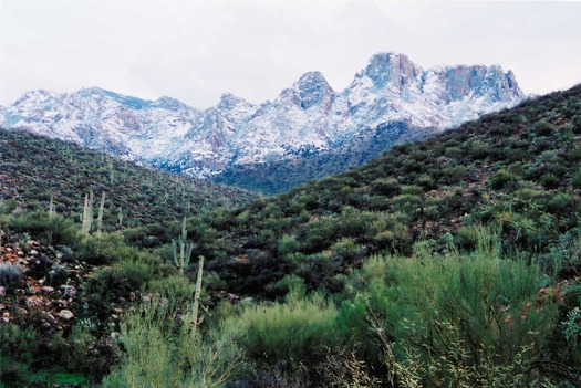 Catalina State Park