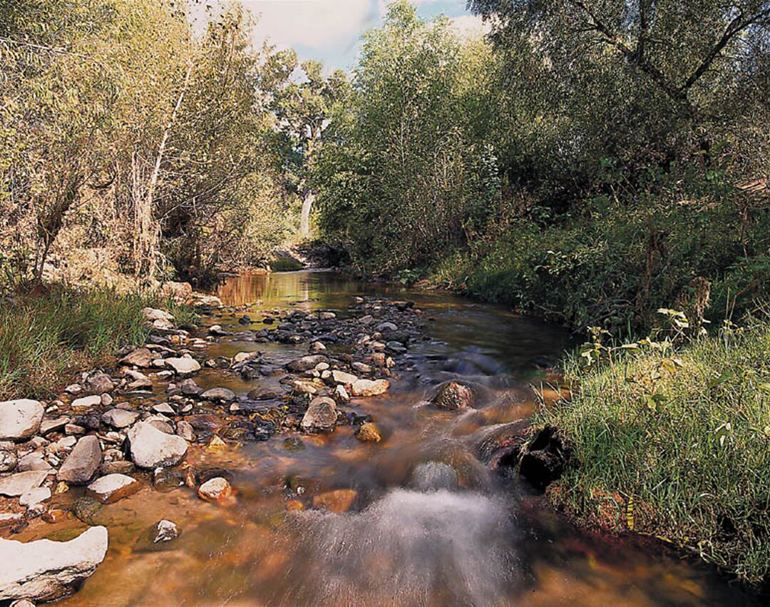 Patagonia State Park, Sonoita_credit Patagonia State Park