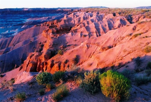 Painted Desert