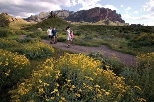 Superstition Mountains