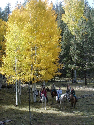 Horseback Riding