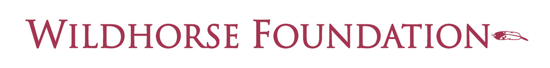 Foundation Logo