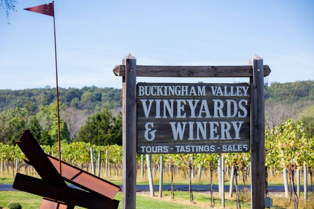 Buckingham Valley Vineyards & Winery
