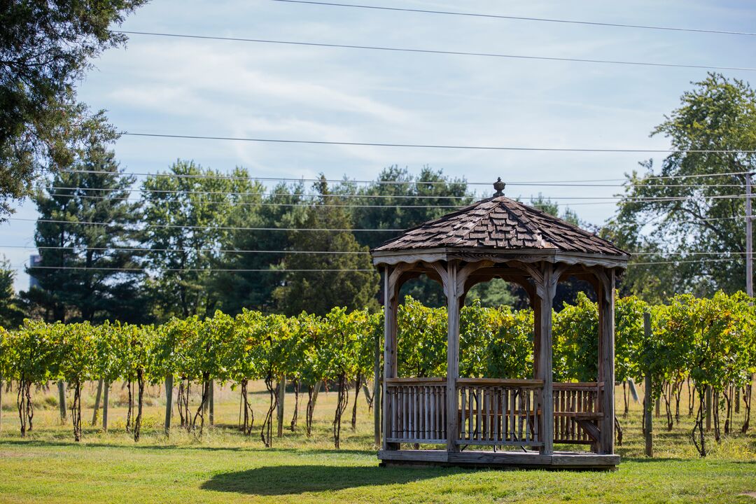 Buckingham Valley Vineyards & Winery