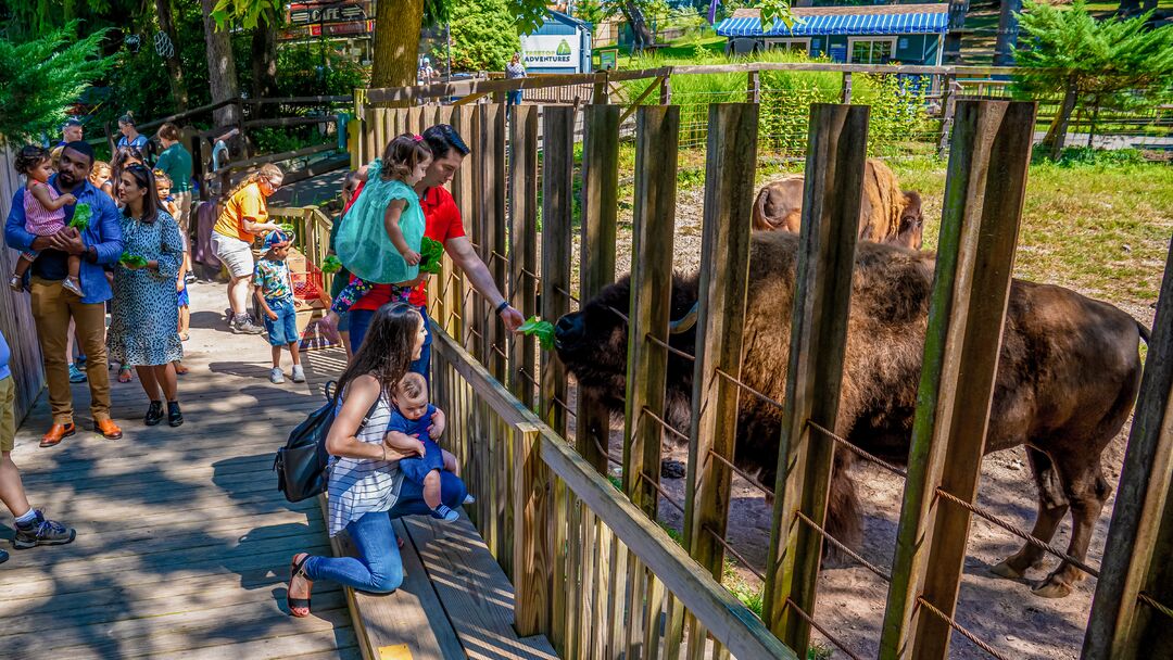 Elmwood Park Zoo