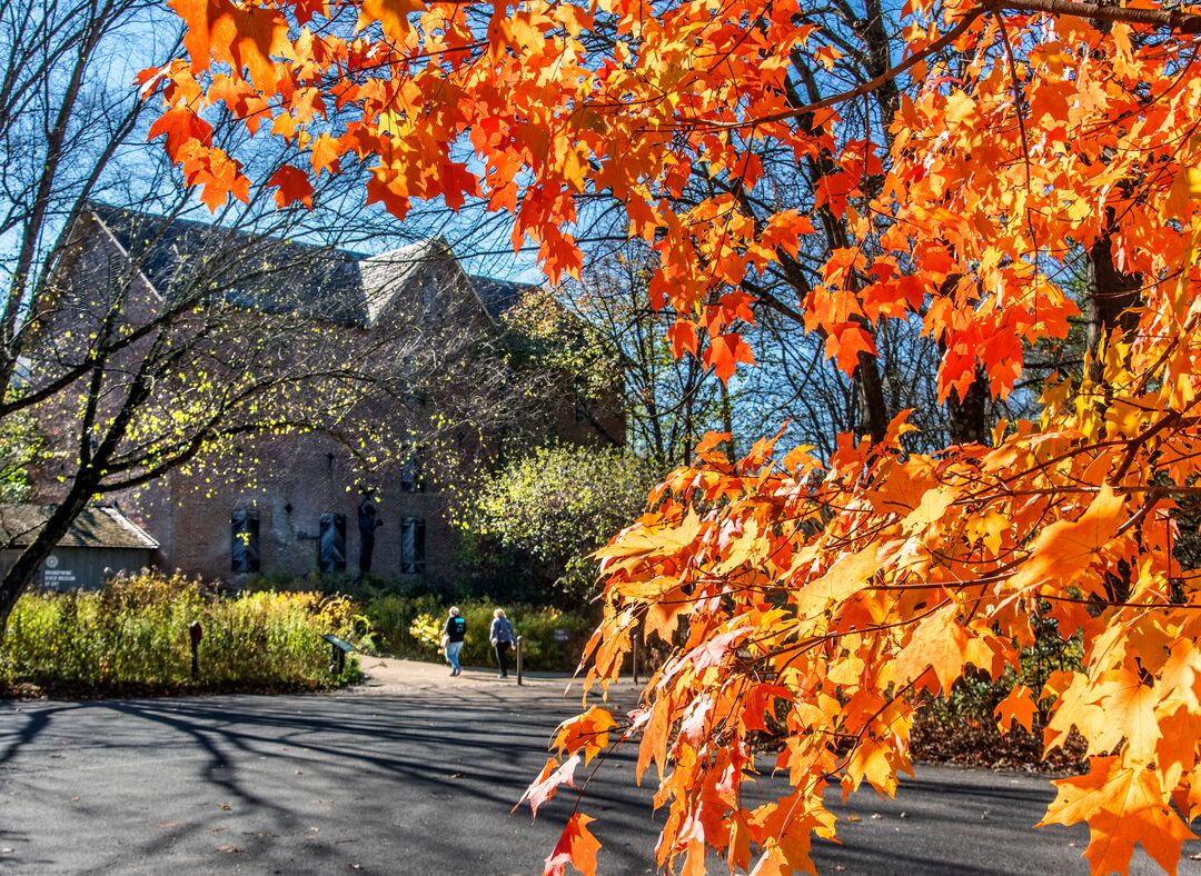 Brandywine River Museum of Art