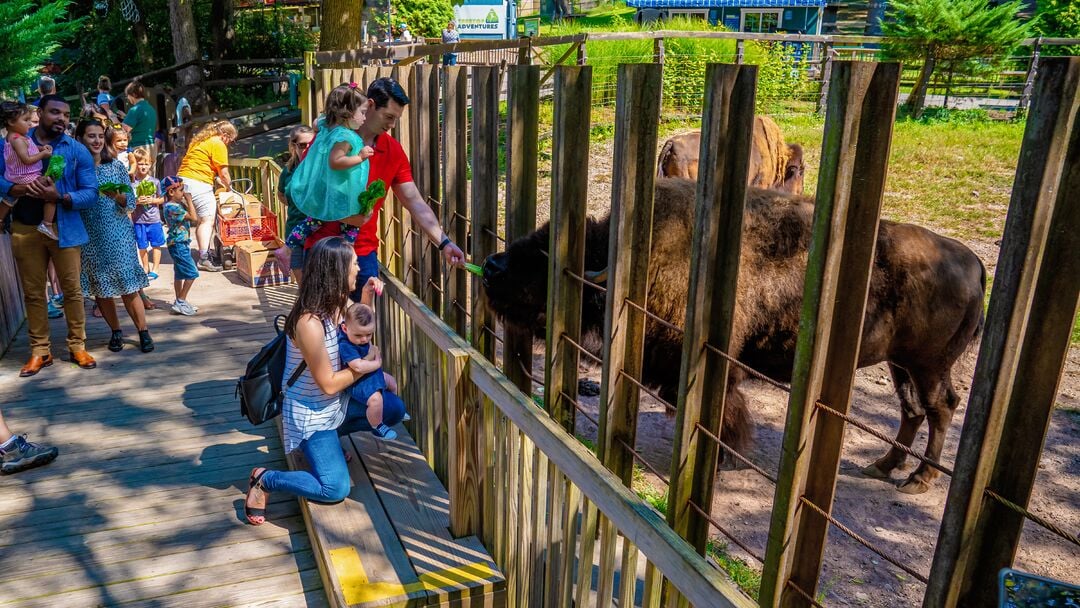 Elmwood Park Zoo