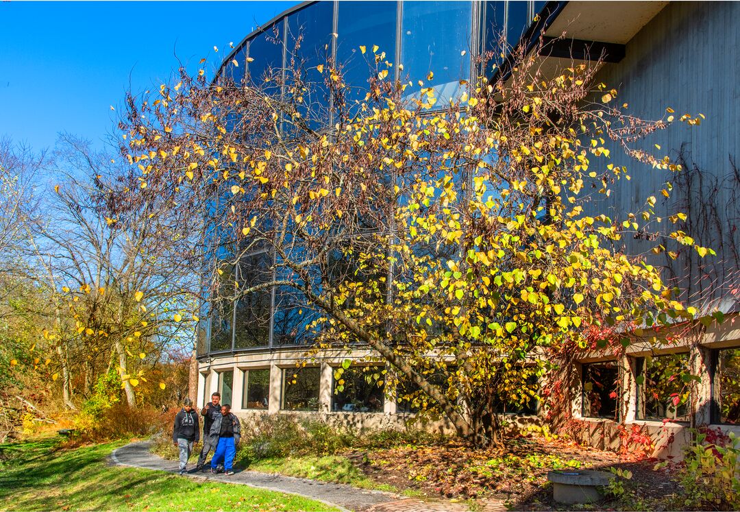 Brandywine River Museum of Art