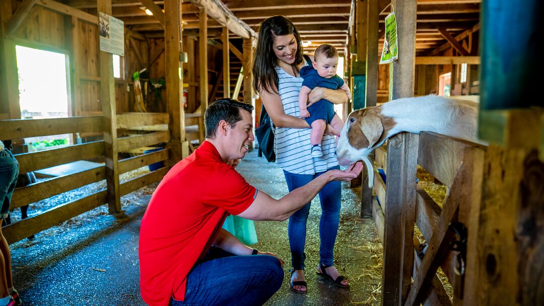 Elmwood Park Zoo