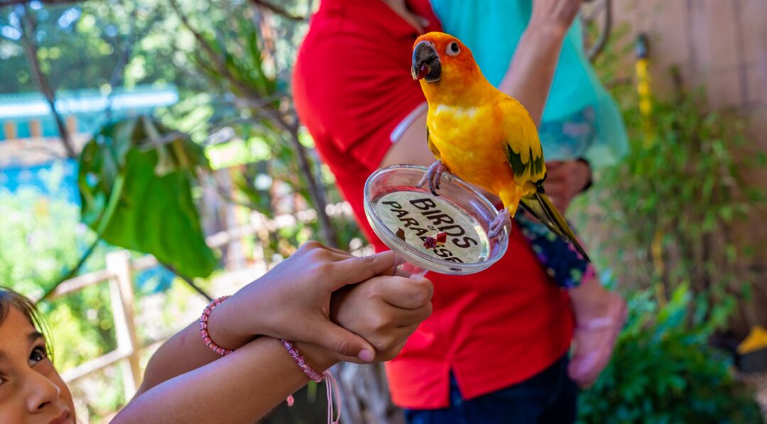 Elmwood Park Zoo