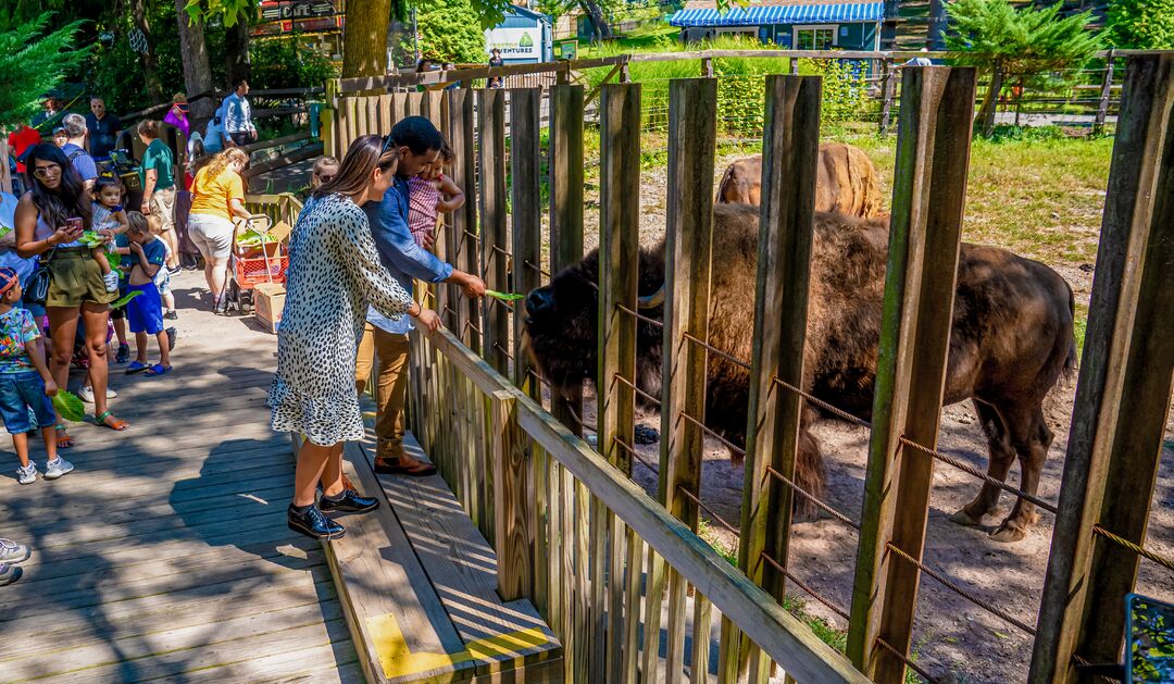 Elmwood Park Zoo