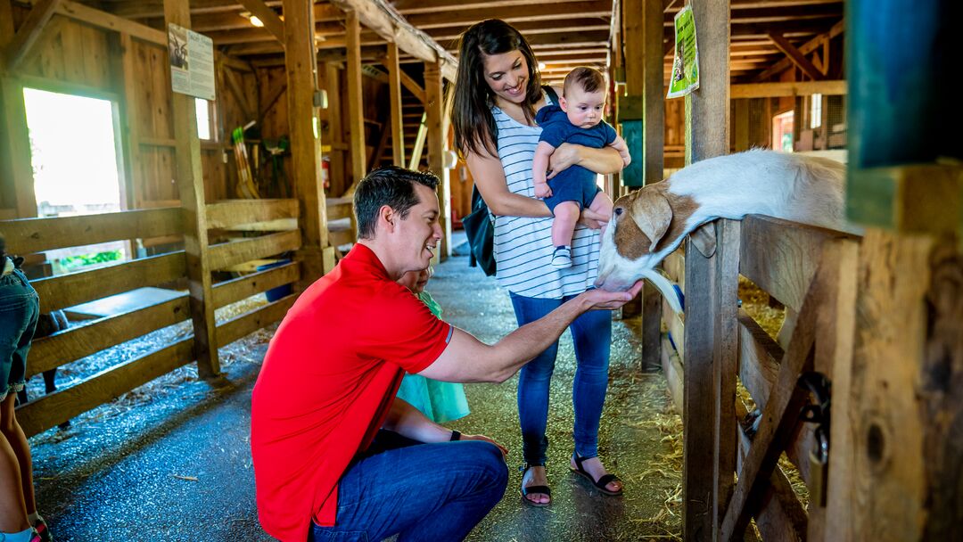 Elmwood Park Zoo