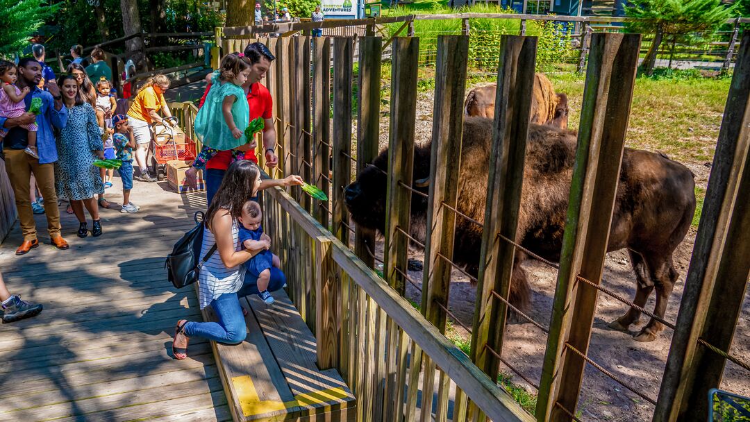 Elmwood Park Zoo