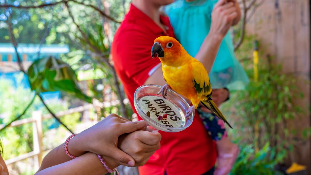 Elmwood Park Zoo