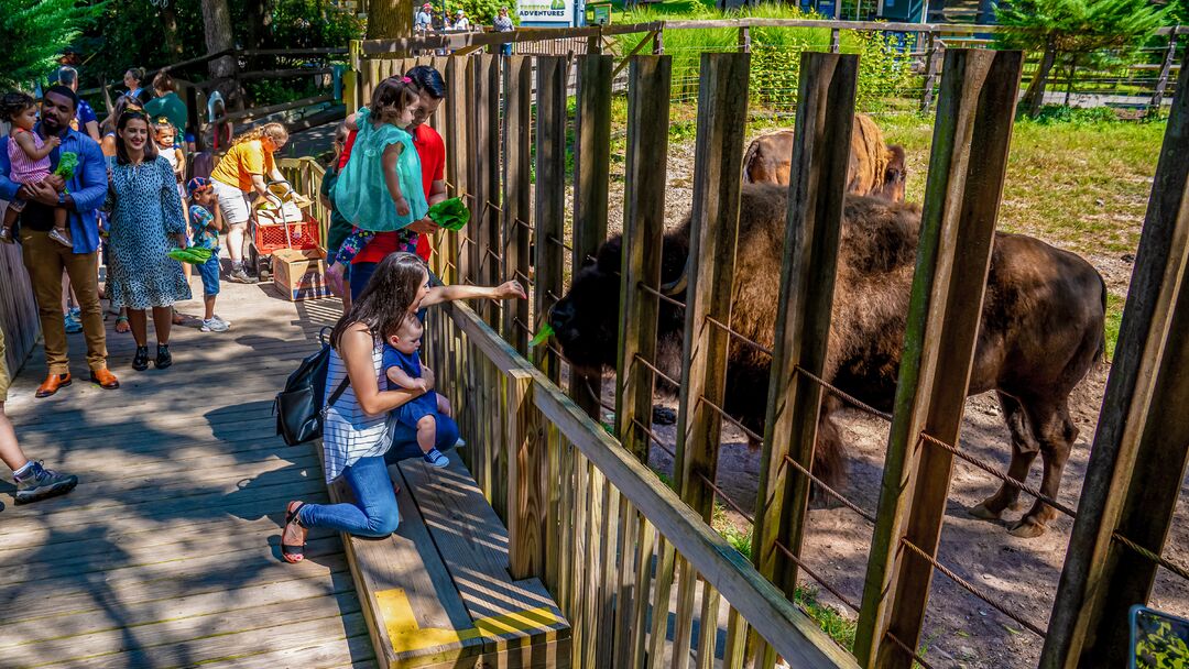 Elmwood Park Zoo