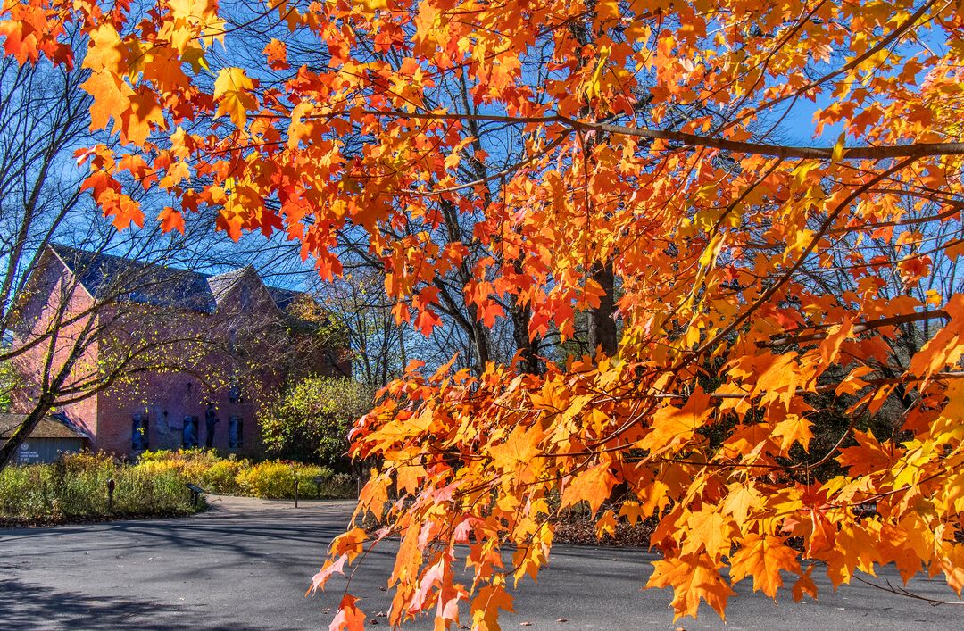 Brandywine River Museum of Art