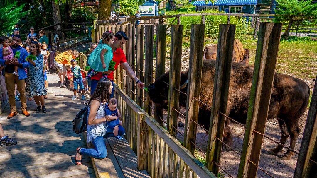 Elmwood Park Zoo