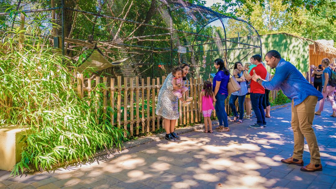 Elmwood Park Zoo