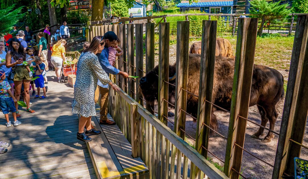 Elmwood Park Zoo