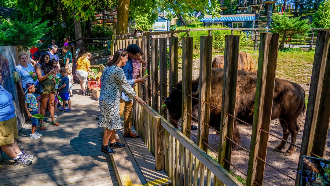 Elmwood Park Zoo