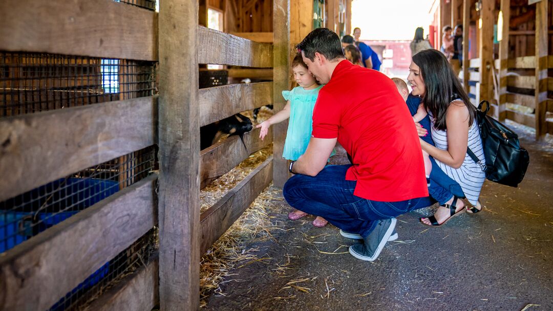 Elmwood Park Zoo